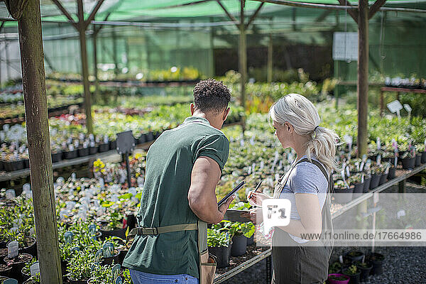 Garden shop owners inspecting plants in sunny greenhouse