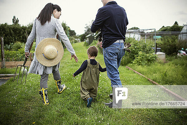 Parents and toddler son walking in vegetable garden