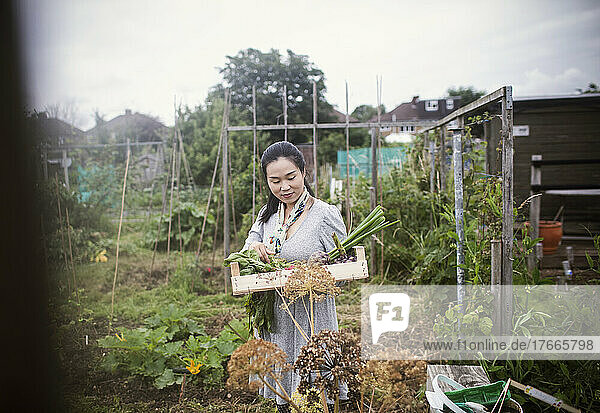 Woman with harvested vegetables in backyard garden