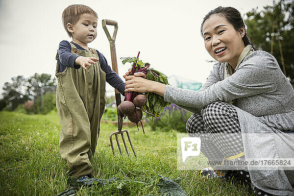 Portrait happy mother and son harvesting beets in garden