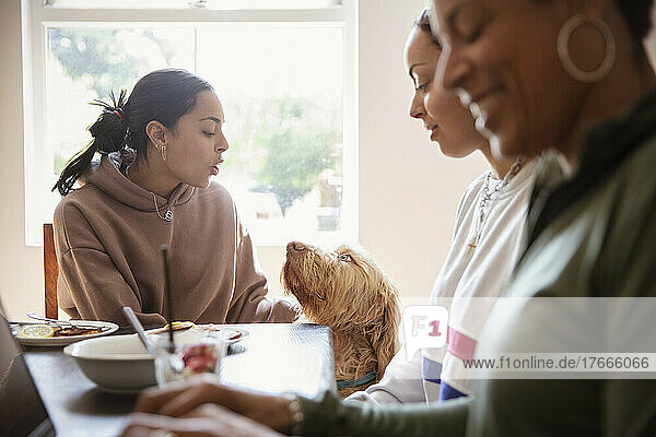 Cute dog looking up at young woman eating at table