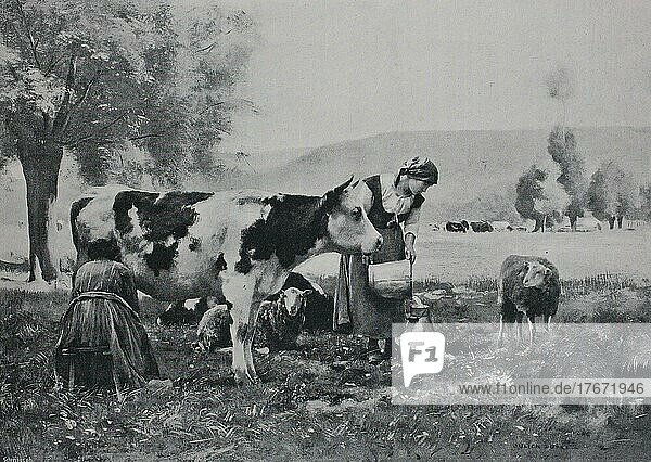 Landwirtschaft  Frau hat Kuh gemolken  Milch  Historisch  digitale Reproduktion einer Originalvorlage aus dem 19. Jahrhundert