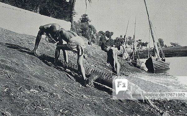 Krokodiljagd am Nil  187  Ägypten  Historisch  digitale Reproduktion einer Originalvorlage aus dem 19. Jahrhundert  Afrika