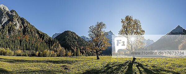 Panorama  Sonnenstern  Spitzkarspitze und großer Ahornboden im Herbst  Gelber Bergahorn  Rißtal in der Eng  Tirol  Österreich  Europa