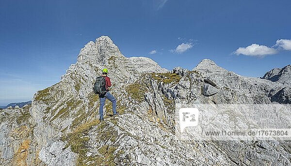Wanderer mit Kletterhelm  auf Wanderweg an einem Grat  Ausblick auf Berglandschaft  hinten Bergkamm mit Gipfel Schaflegg und Mitterhorn  Nuaracher Höhenweg  Loferer Steinberge  Tirol  Österreich  Europa