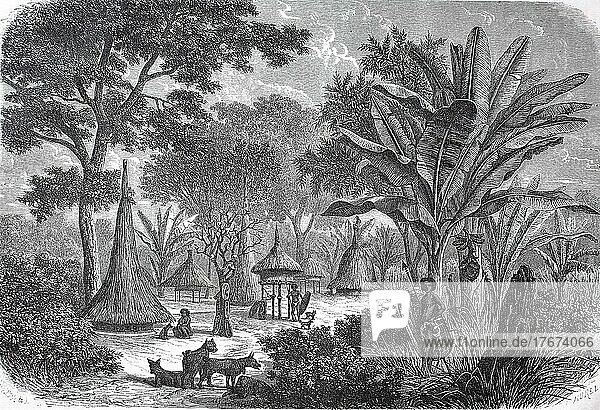 Weiler Niams-Niams am Rande von Diamvonou im Jahre 1880  digital restaurierte Reproduktion einer Vorlage aus dem 19. Jahrhundert  genaues Datum unbekannt