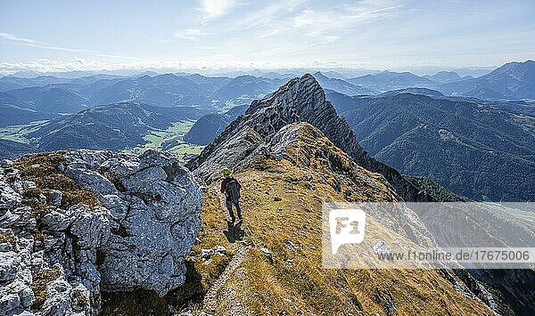 Hiker with climbing helmet  on hiking trail at a ridge  view of mountain landscape  in the back mountain ridge with peak of Seehorn  Nuaracher Höhenweg  Loferer Steinberge  Tyrol  Austria  Europe