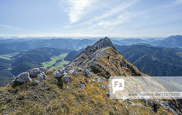 Wanderer mit Kletterhelm  auf Wanderweg an einem Grat  Ausblick auf Berglandschaft  hinten Bergkamm mit Gipfel des Seehorn  Nuaracher Höhenweg  Loferer Steinberge  Tirol  Österreich  Europa