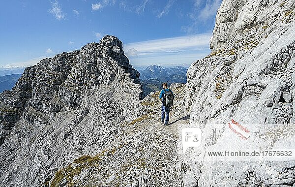 Hiker in rocky terrain  behind rocky ridge with peak Rothörndl  Nuaracher Höhenweg  Loferer Steinberge  Tyrol  Austria  Europe