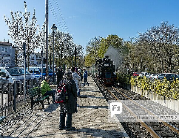 Die historische Eisenbahn Rasender Roland am Bahnhof Baabe auf der Ferieninsel Rügen  Mecklenburg-Vorpommern  Deutschland  Europa