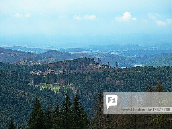 Blick auf das Sösetal von der Magdeburger Hütte an der Grenze zum Nationalpark Harz  Stieglitzecke  Niedersachsen  Deutschland  Europa