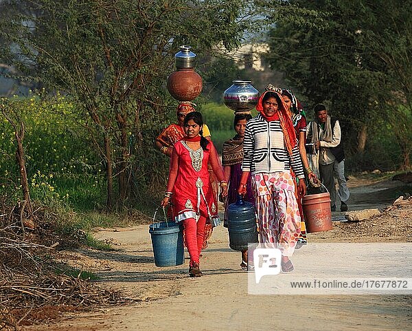 Northern India  Rajasthan  woman bringing water from the well in containers on their heads and buckets in their hands  India  Asia