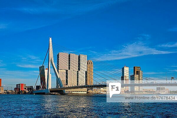 Rotterdamer Stadtbild mit Erasmusbrücke über die Nieuwe Maas bei Sonnenuntergang. Niederlande