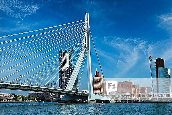 Panorama der Stadt Rotterdam mit der Erasmusbrücke. Niederlande