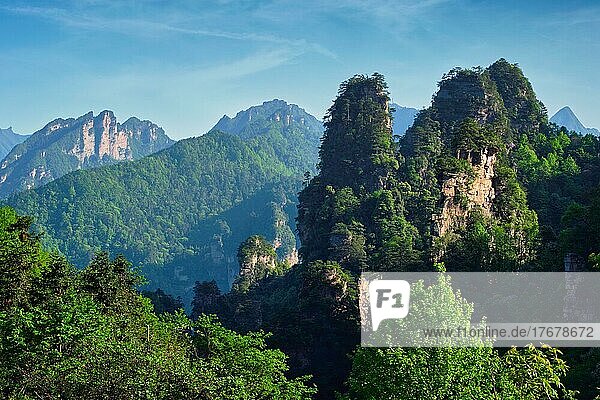 Famous tourist attraction of China  Zhangjiajie stone pillars cliff mountains on sunset at Wulingyuan  Hunan  China  Asia