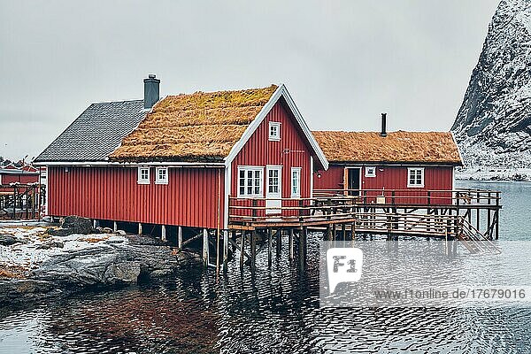 Traditionelles rotes Rorbu-Haus mit grasbedecktem Dach im Dorf Reine auf den Lofoten  Norwegen  im Winter  Europa