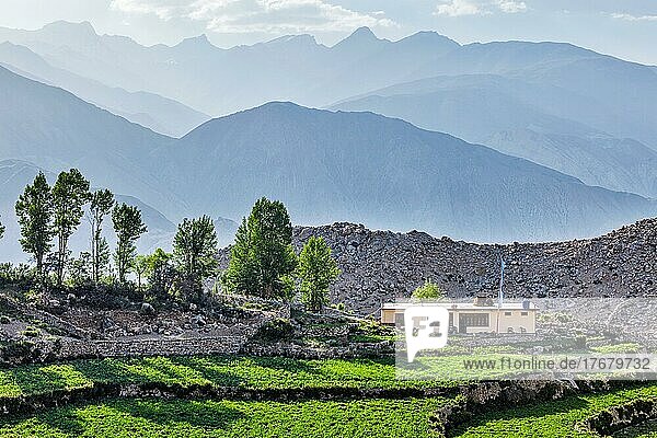Dorf Nako im Himalaya  Himachal Pradesh  Indien  Asien