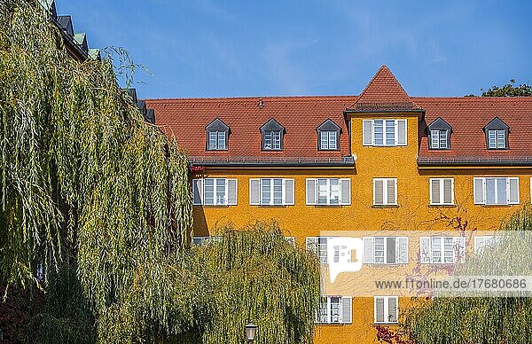 Innenhof mit Park und gelben Wohnhäusern  Borstei  denkmalgeschützte Wohnsiedlung  Stadtteil Moosach  München  Bayern  Deutschland  Europa