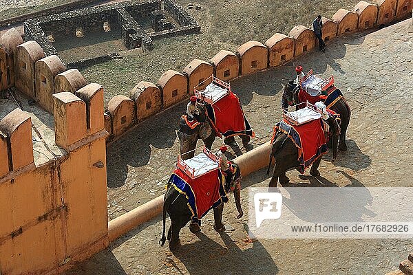 Rajasthan  Fort Amber  Elefantenreiten auf dem Elefantenweg in der Festungsanlage  Indien  Nordindien  Asien