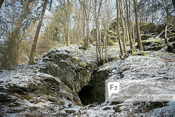Höhle im Felshang als Fledermausquartier im Winter  Nationalpark Eifel  Nordrhein-Westfalen  Deutschland  Europa
