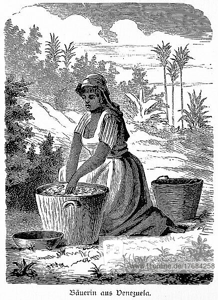 Peasant woman  harvest  basket  landscape  palms  work  portrait  historical illustration 1881  Venezuela  South America