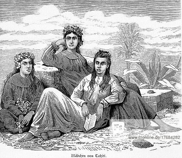 Drei Fraün  Eingeborene  jung  Kopfschmuck  lange Haare  sitzen  Buch  Palme  historische Illustration 1881  Tahiti
