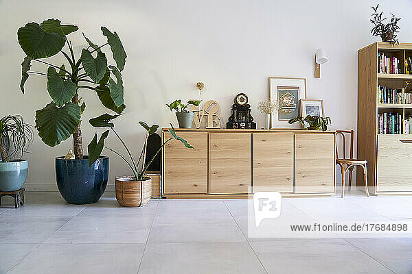 Bookshelf  picture frames and potted plants in living room