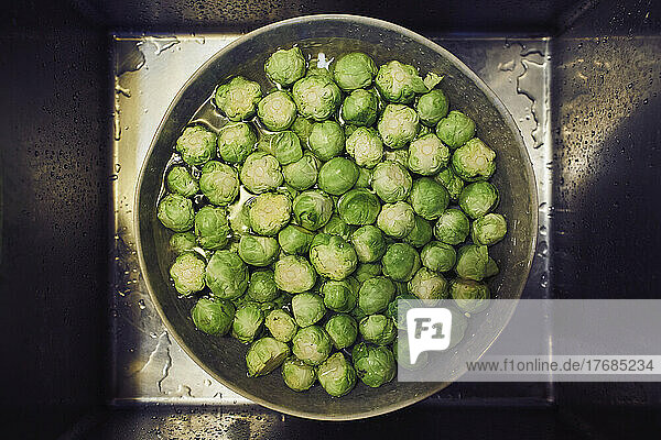 View from above green Brussels sprouts in pot