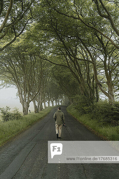 Man walking on tranquil  green  treelined rural road  Cardoness  Dumfries and Galloway  Scotland