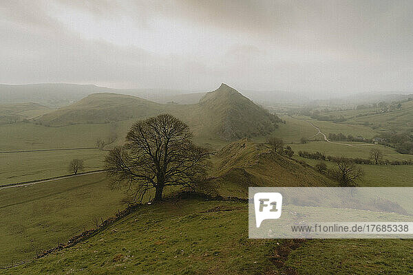 Scenic view tranquil green landscape  Chrome Hill  Derbyshire  England