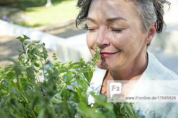 Smiling mature woman smelling plants on sunny day