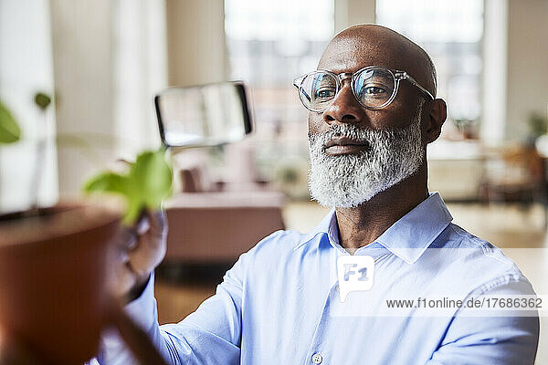 Scientist with eyeglasses examining plant at home