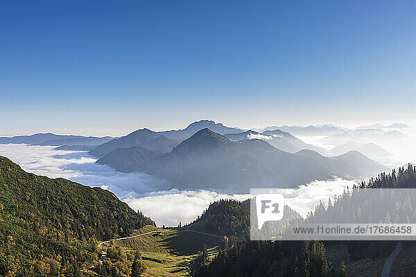 Germany  Bavaria  Clear sky over thick fog floating over forested valley in Bavarian Prealps
