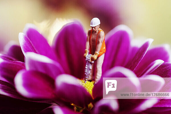 Blooming flower head and figurine of construction worker symbolizing destruction of nature