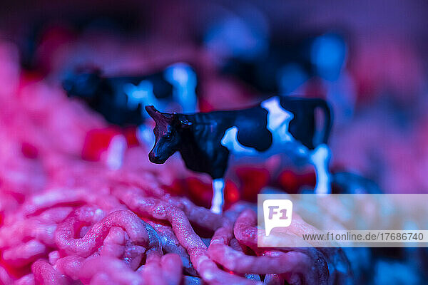 Figurines of cow on minced meat