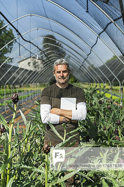 Smiling farmer with tablet PC standing in artichoke greenhouse on sunny day