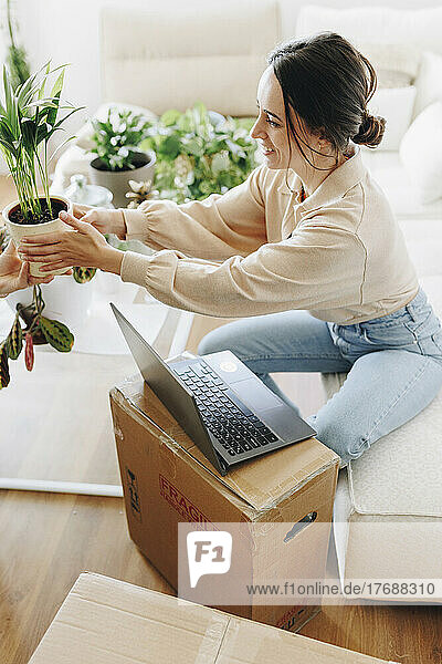Lächelnde junge Frau  die Topfpflanze schenkt  sitzt mit Laptop auf dem Sofa im Wohnzimmer