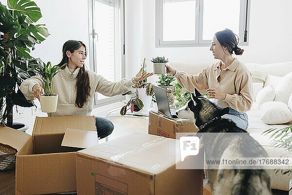 Lesbian couple unpacking cardboard boxes sitting in living room at home