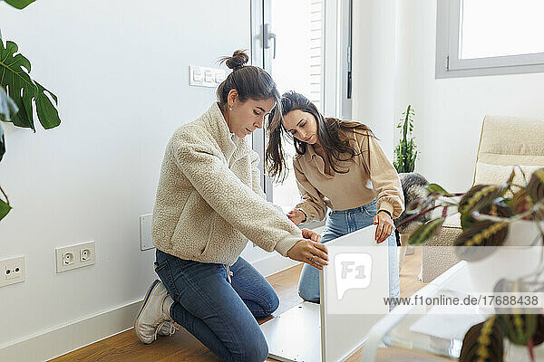 Young lesbian couple installing furniture at home