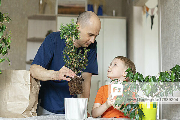 Father teaching transplanting to son at home