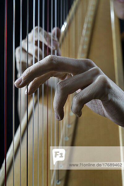 Hands of mature musician playing harp
