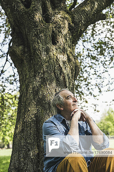 Smiling senior man sitting in front of tree at park