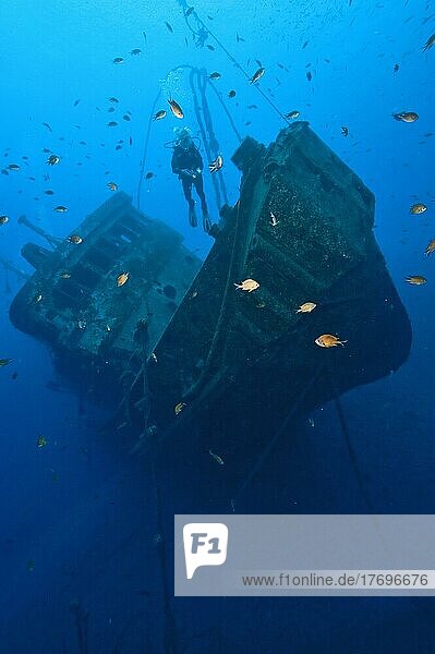 Diver hovers over El Pejin shipwreck  Tabaiba  Tenerife  Canary Islands  Spain  Europe
