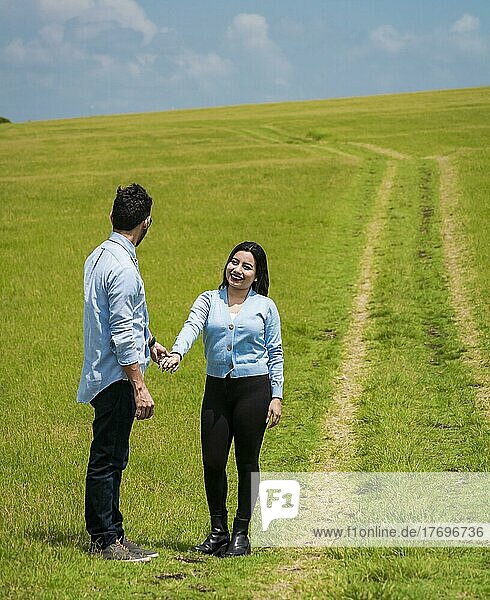 Schönes Paar hält sich an den Händen und schaut sich im Feld an  zwei Liebende im Feld halten sich an den Händen  zwei Menschen halten sich im Feld an den Händen