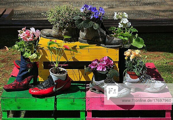 Blumenschmuck  Kunstobjekt  bepflanzte Schuhe  Blumendekoration  Madeira  Portugal  Europa