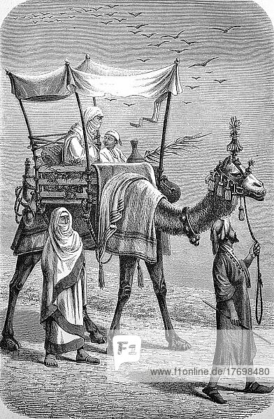 Fraün auf der Reise auf einem Kamel durch die Wüste  Schleier  Kamelführer  Sänfte  ca 1850  Historisch  digital restaurierte Reproduktion einer Vorlage aus dem 19. Jahrhundert  genaues Datum unbekannt