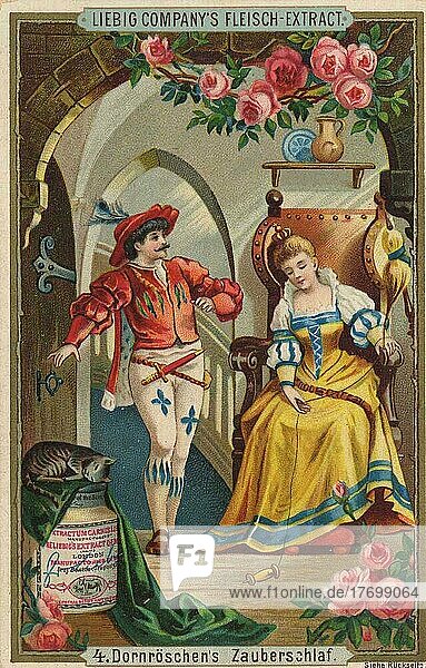 Series Fairy Tales Sleeping Beauty  the Magic Sleep  Historical  digitally restored reproduction of a Liebig collector's picture from ca 1900