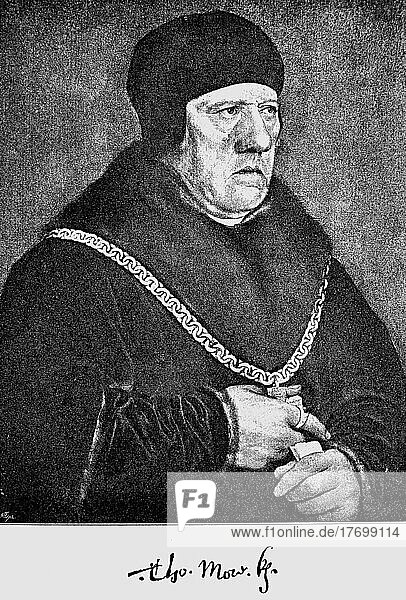 Mulberry (Morus)  Thomas More  1478  1535  English statesman and humanist author of the Renaissance  Historical  digitally restored reproduction from a 19th century original