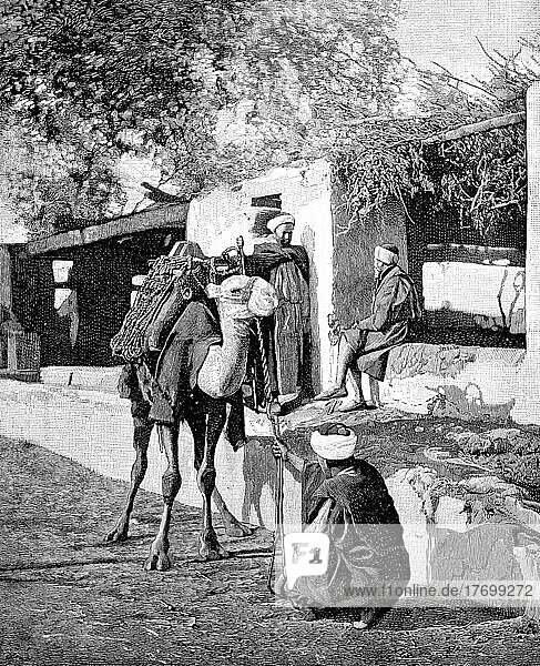 Camel driver in front of departure for the journey through the Libyan Desert  1880  Libya  Historic  digitally restored reproduction of a 19th century original  exact date unknown  Africa