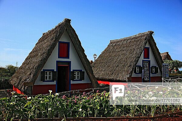 Traditionelles Santanahaus in der Ortschaft Satana auf der Insel Madeira  Portugal  Europa